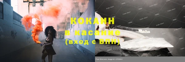 стаф Алзамай