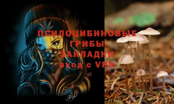 кокаин премиум Алексин