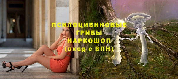 спиды Алексеевка